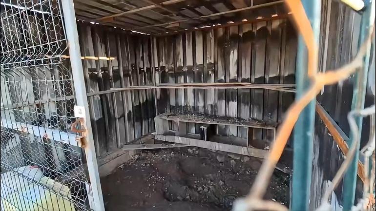 Osmaniye’de güvercin hırsızlığı kamerada