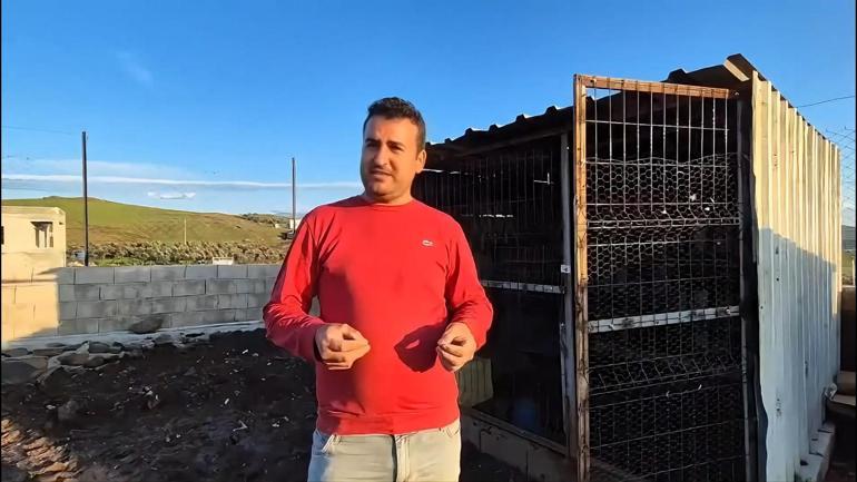 Osmaniye’de güvercin hırsızlığı kamerada