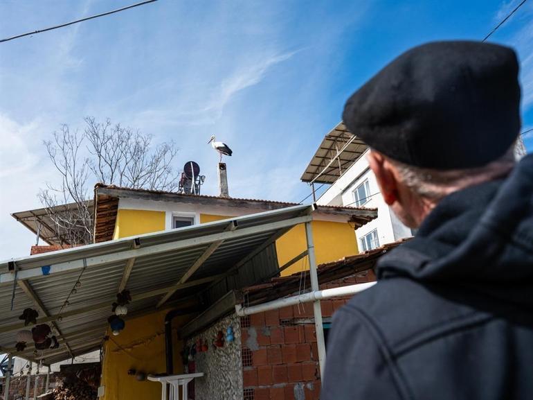 Yaren leyleğin 20 gün erken gelen eşi Nazlı dronla kamerasında