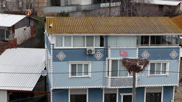Yaren leyleğin 20 gün erken gelen eşi Nazlı dronla kamerasında