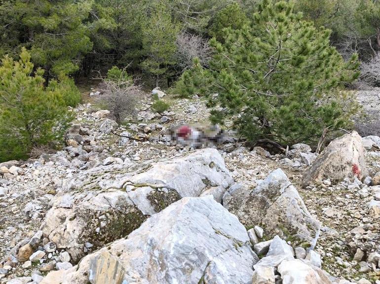 Aydın’da uçurumda bulunan cesetle ilgili 4 tutuklama