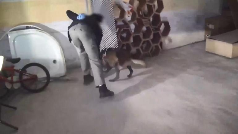 İstanbul’da kahveye emdirilmiş 374 kilo 600 gram uyuşturucu ele geçirildi