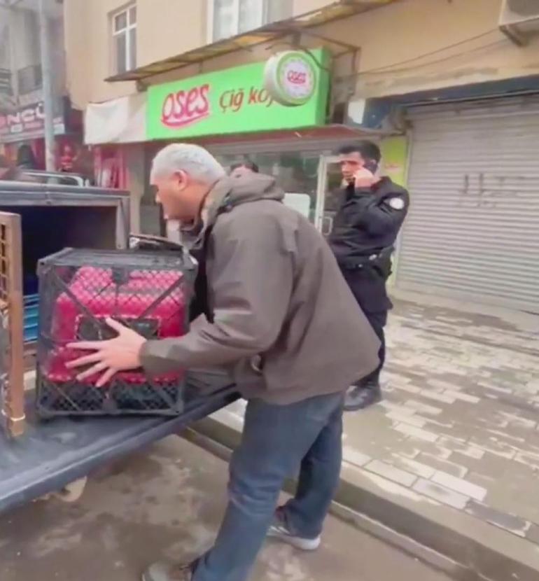 Kadıköyde iş yerinden kaçıp çatılarda dolaşan makak maymunu koruma altına alındı