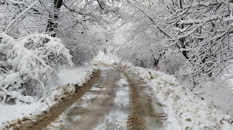 Malatyada kar yağışı; taşımalı eğitime ara verildi