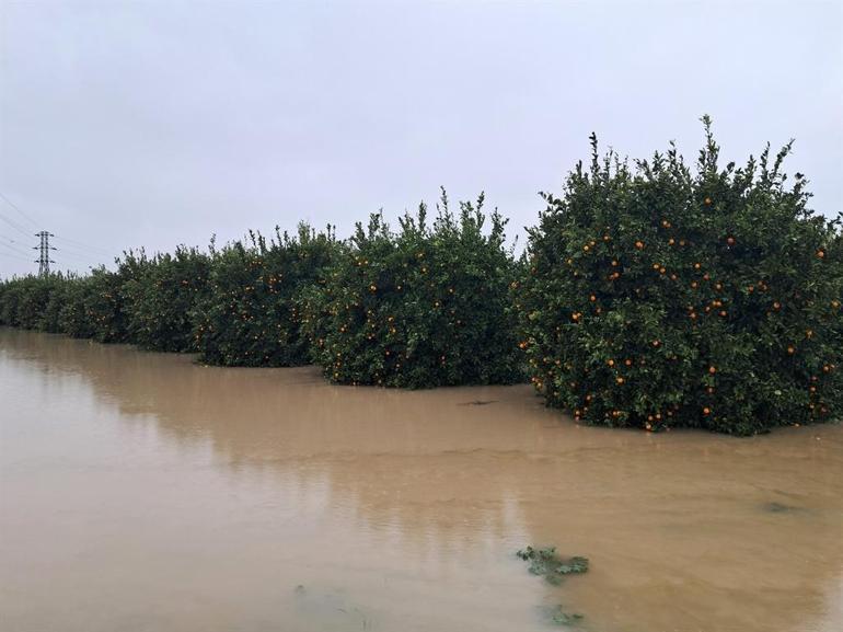 Antalyada fırtına, hortum ve sel felaketinin faturası 3 milyar TL