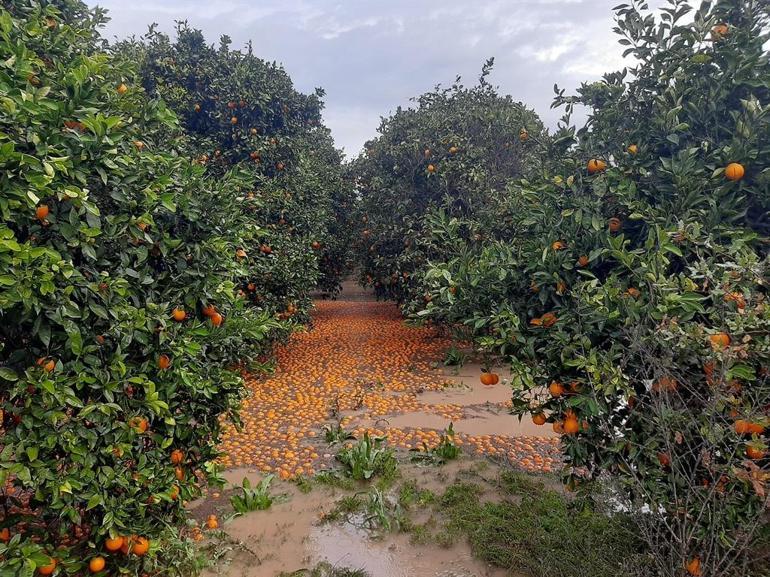 Antalyada fırtına, hortum ve sel felaketinin faturası 3 milyar TL