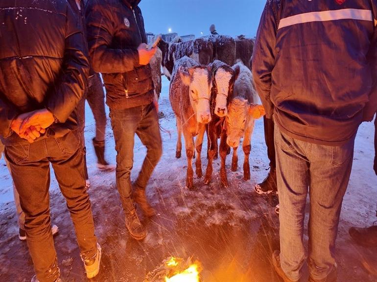 Kış şartları, Türkiyenin en büyük hayvan pazarını olumsuz etkiledi