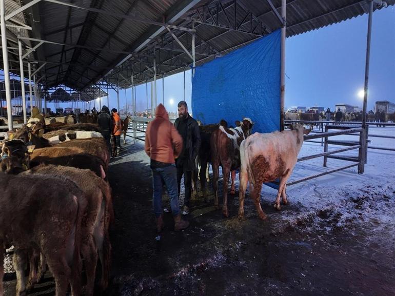 Kış şartları, Türkiyenin en büyük hayvan pazarını olumsuz etkiledi