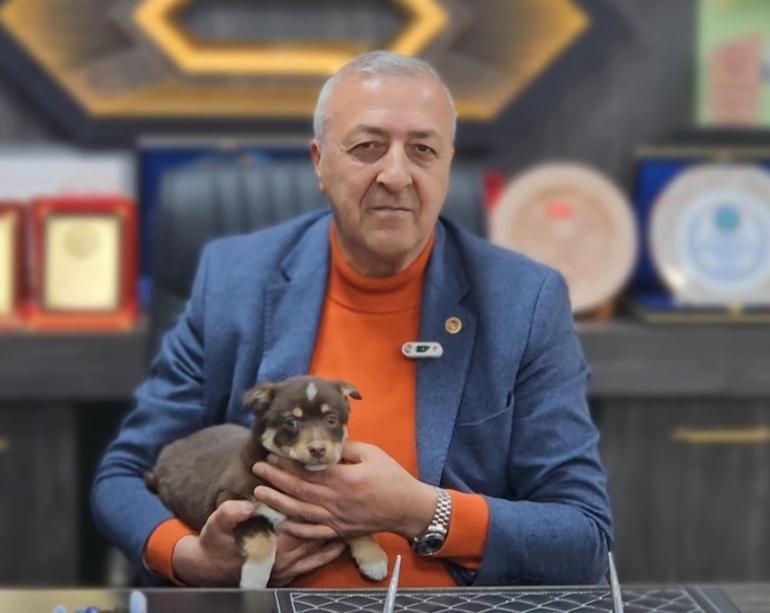 Başkanın makamı Mia ve Fındık’ın yuvası oldu