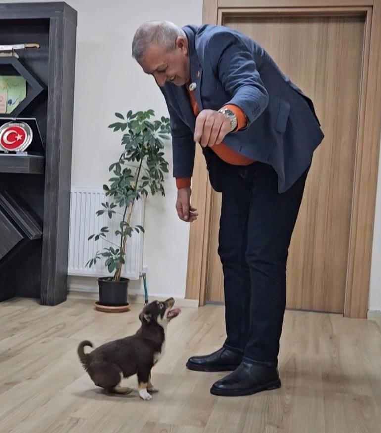 Başkanın makamı Mia ve Fındık’ın yuvası oldu