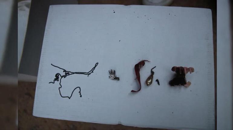 Ormanda bulunan kafatası ve kemik parçaları 2 kadına ait çıktı; 10 yıllık çifte cinayet aydınlatıldı