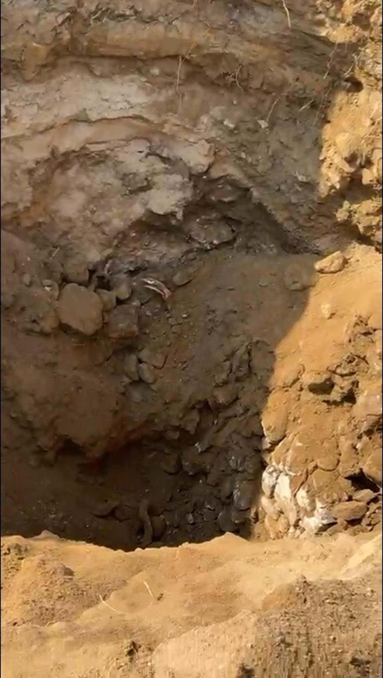 Aydında 16 yıldır kayıp iki kardeş ile ilgili yeniden soruşturma başlatıldı