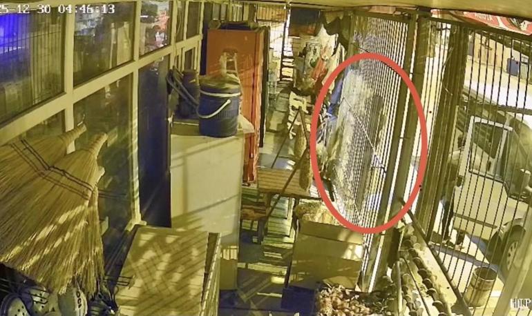 Osmaniyede çalıntı araçla hırsızlık kamerada: 1 tutuklama