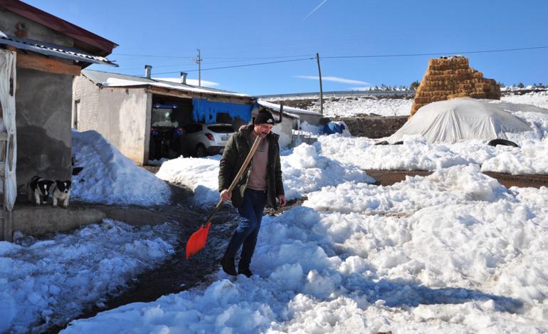 Köpeklerine saldıran kurtları kürekle kovaladı