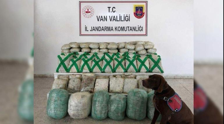 Van ve Hakkaride uyuşturucu operasyonu; 15 gözaltı
