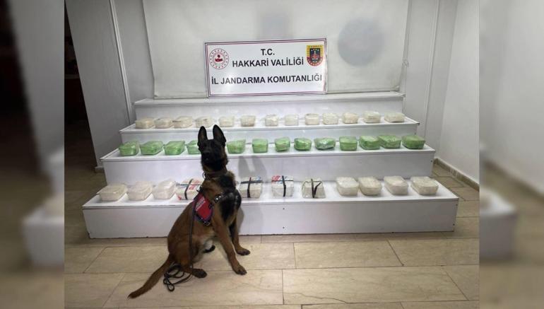 Van ve Hakkaride uyuşturucu operasyonu; 15 gözaltı