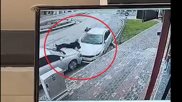 Otomobilin çarptığı 2 yaya yaralandı; o anlar kamerada
