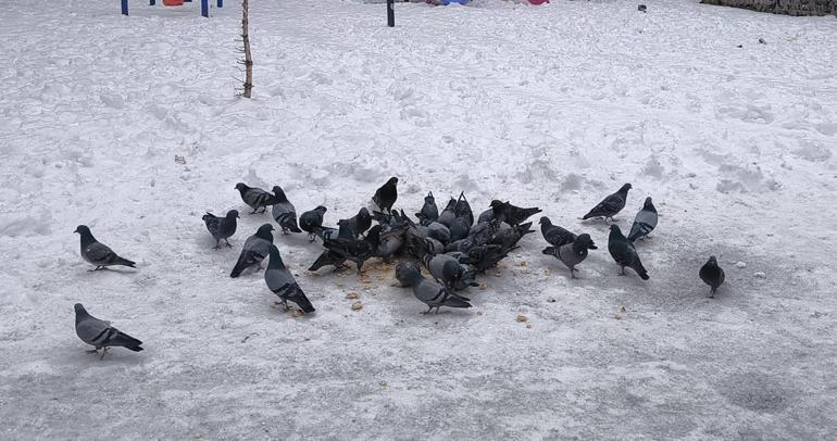 Karsta kar yağışı etkili oldu