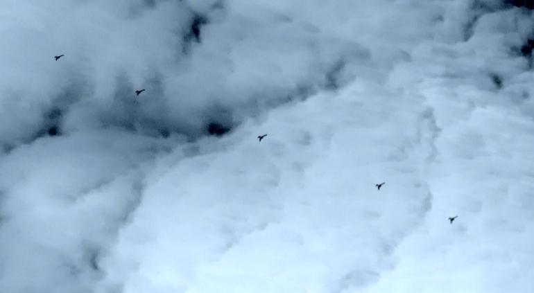 K2 Kamikaze İnsansız Hava Aracı, formasyon uçuş testlerini başarıyla tamamladı