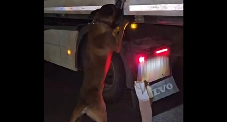 Diyarbakırda durdurulan TIRda 81 kilo metamfetamin ele geçirildi