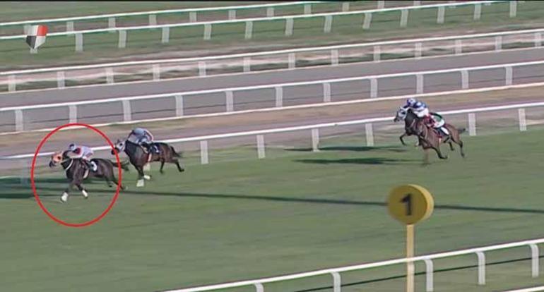 Adana’da yarış atı kavurma yapılan iş insanına da 132 bin TL ceza kesildi