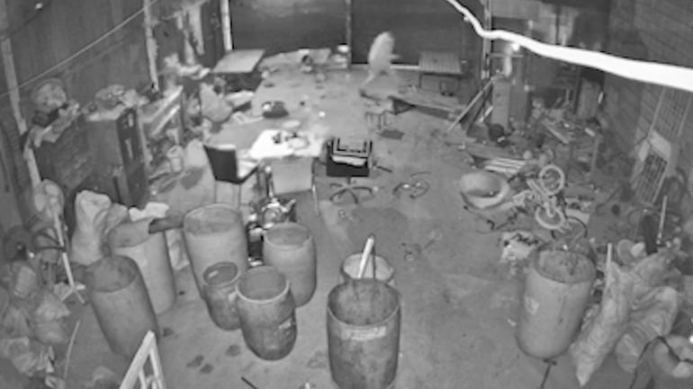 Adıyaman’da iş yerlerinden hırsızlığa 4 tutuklama