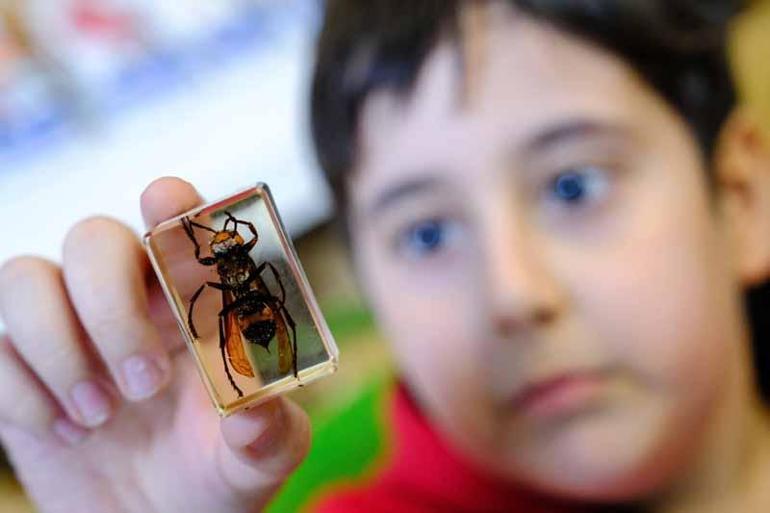 Bilim ve Teknoloji Haftası coşkuyla kutlandı