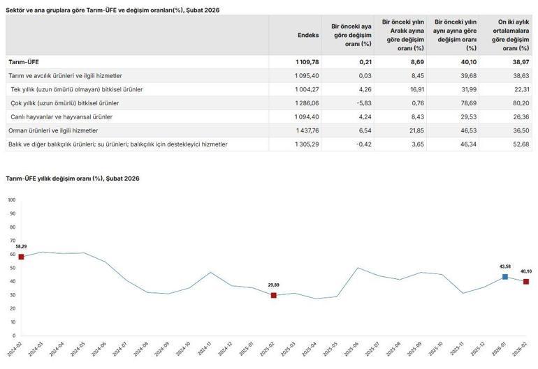 TÜİK: Tarım üretici fiyatları şubatta arttı