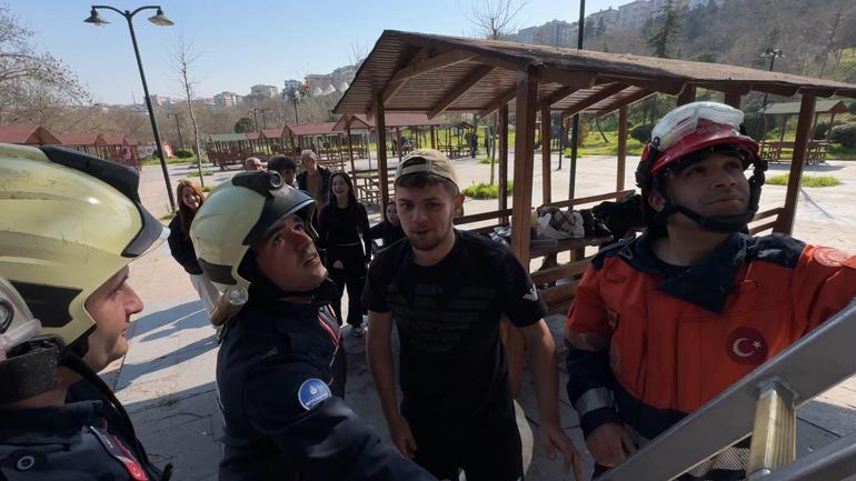 Avcılar’da çıktığı ağaçta mahsur kaldı; itfaiye merdiveniyle kurtarıldı