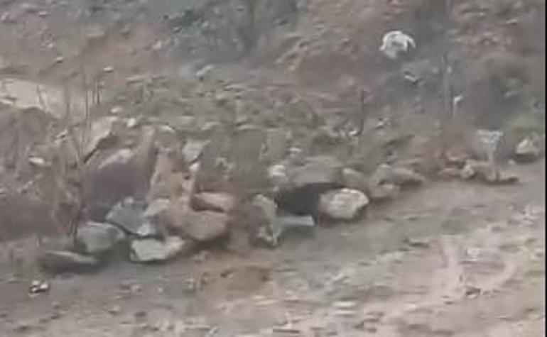 Bitlis’te çığ ve heyelan ulaşımı aksattı