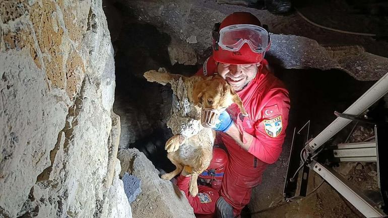 Kuruyan betonda mahsur kalan Paris, 7 saat sonra özgürlüğüne kavuştu