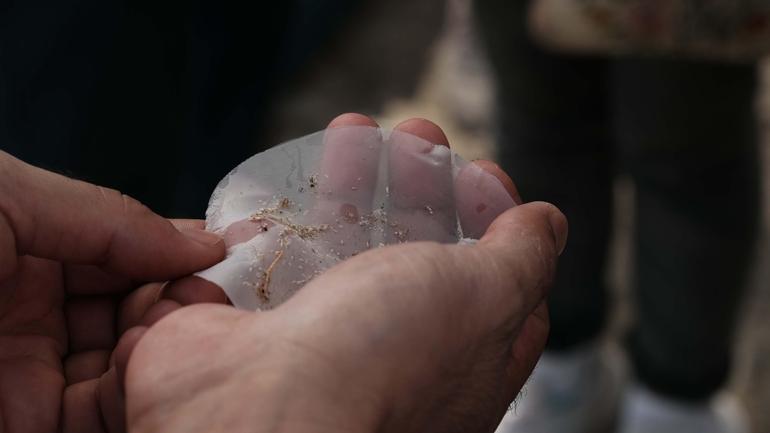 Datça-Bozburun ÖÇKBde 17 istasyonun tamamında mikroplastik tespit edildi