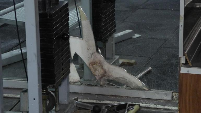 Güngören’de spor salonunu su bastı: Sigorta 105 bin lira ödedi zararımız daha büyük