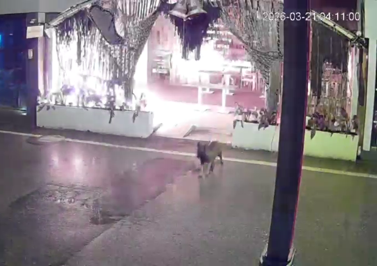 Kocaelide kafeyi kundaklayan 2 şüpheli yakalandı