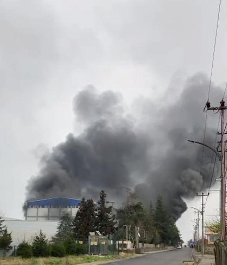 Trabzonda fındık fabrikasında yangın