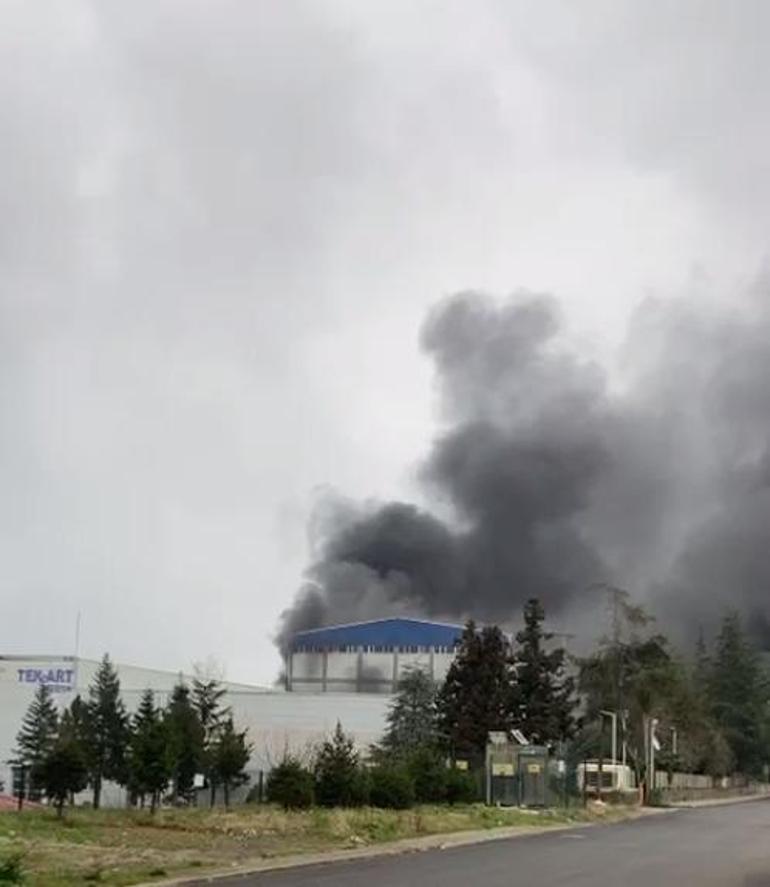 Trabzonda fındık fabrikasında yangın