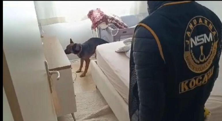 Kocaeli’de 40 adrese uyuşturucu baskını: 36 gözaltı