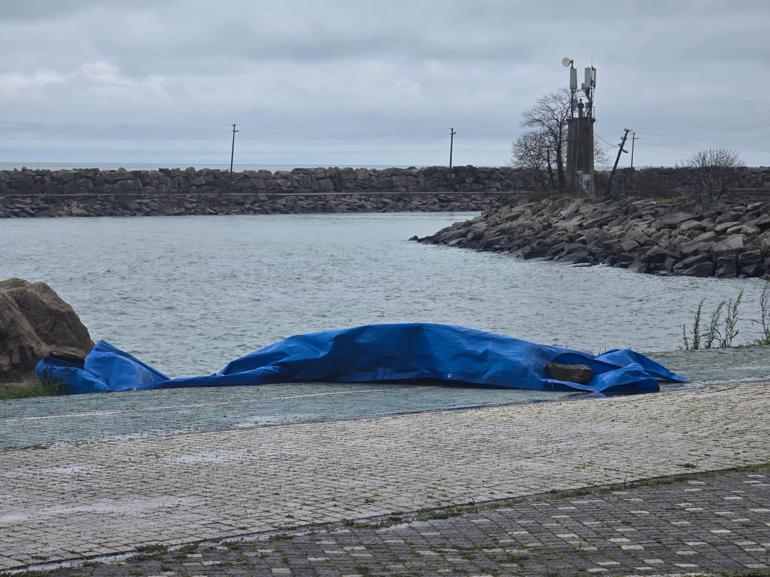 Orduda sahile insansız araç olduğu değerlendirilen cihaz vurdu