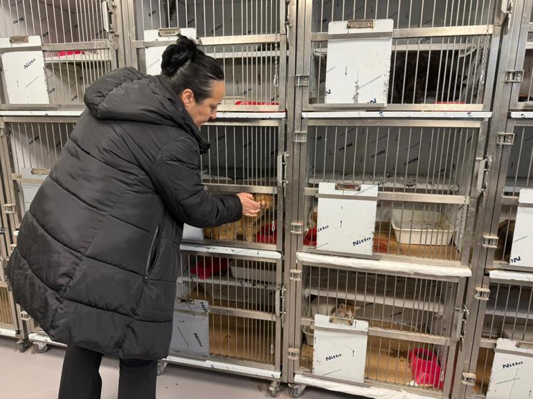 Ankarada kötü şartlarda tutulan 102 hayvana el konuldu