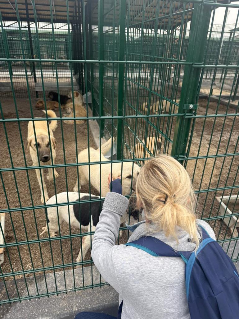 Ankarada kötü şartlarda tutulan 102 hayvana el konuldu