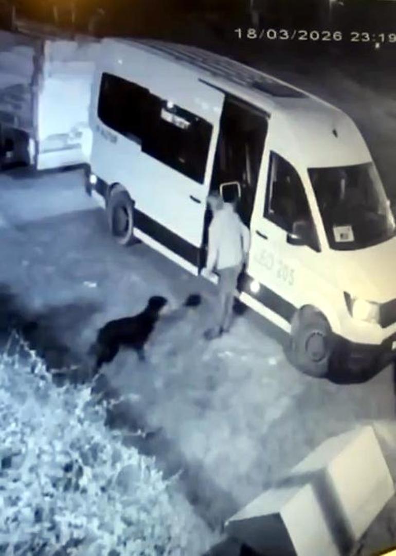 Avcılarda mahallenin maskotu Garip isimli köpeği çalan şüpheli yakalandı