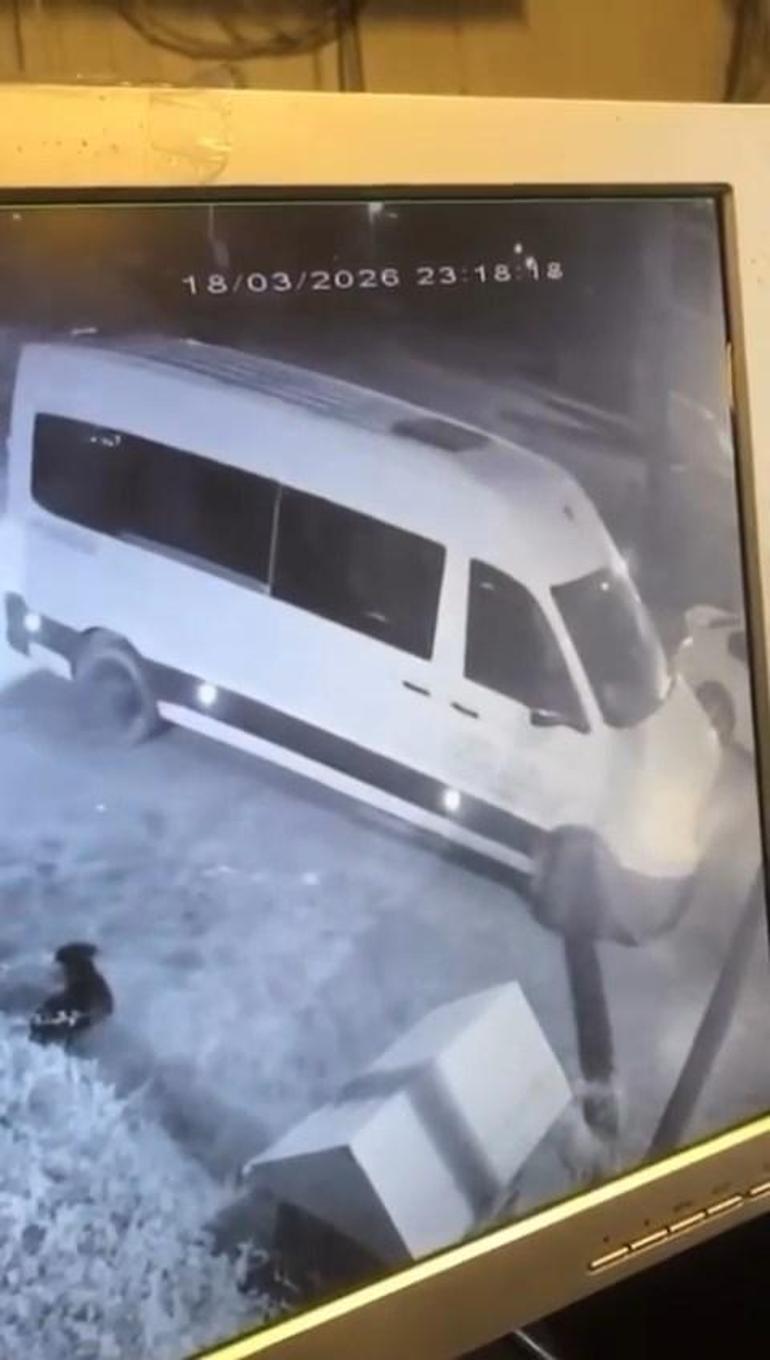 Avcılarda mahallenin maskotu Garip isimli köpeği çalan şüpheli yakalandı