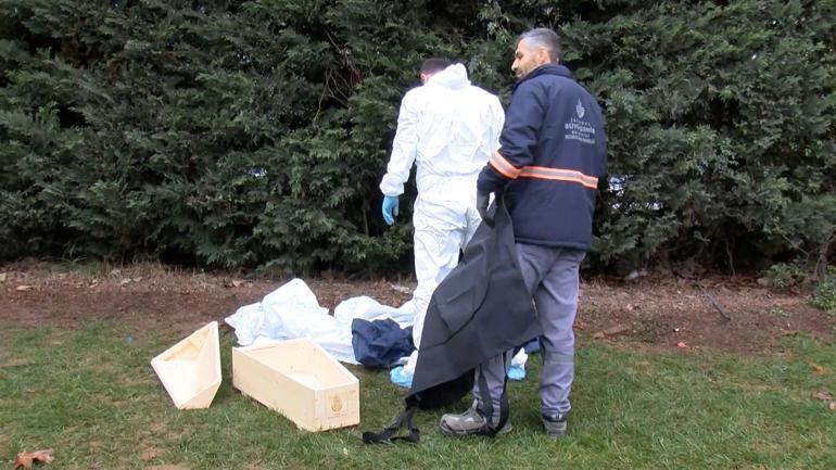 Sancaktepede bebek cesedi bulundu