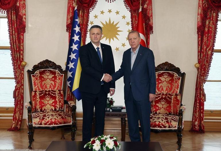 Cumhurbaşkanı Erdoğan, Bosna Hersek Devlet Başkanlığı Konseyi Başkanı Denis Beçiroviçle görüştü