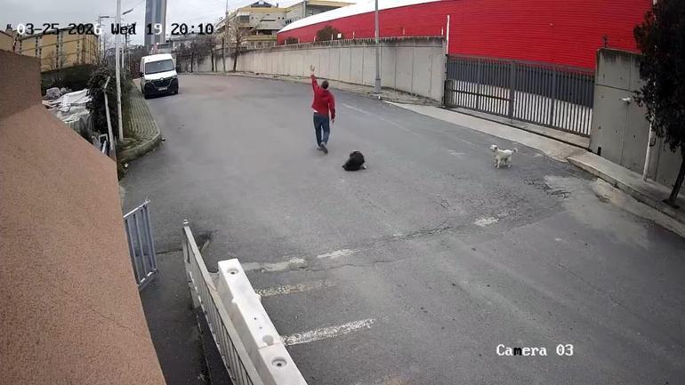 Avcılar’da cip sürücüsü köpeği ezdi yoluna devam etti