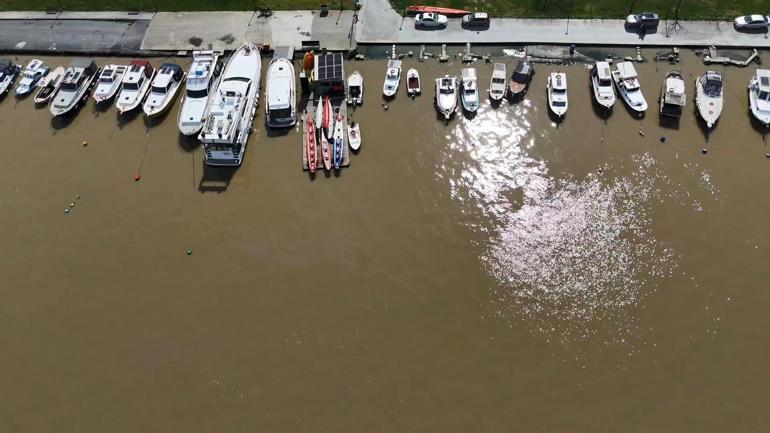 Yağış sonrası Haliçin rengi kahverengiye döndü