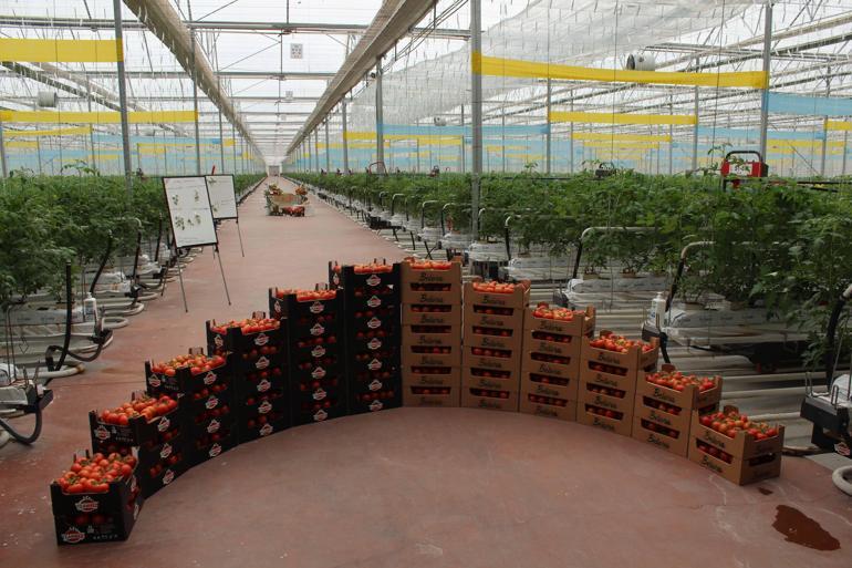 Bakan Yumaklı: 17,2 milyar liralık destek bugün itibarıyla üreticilerimizin hesabına geçecek