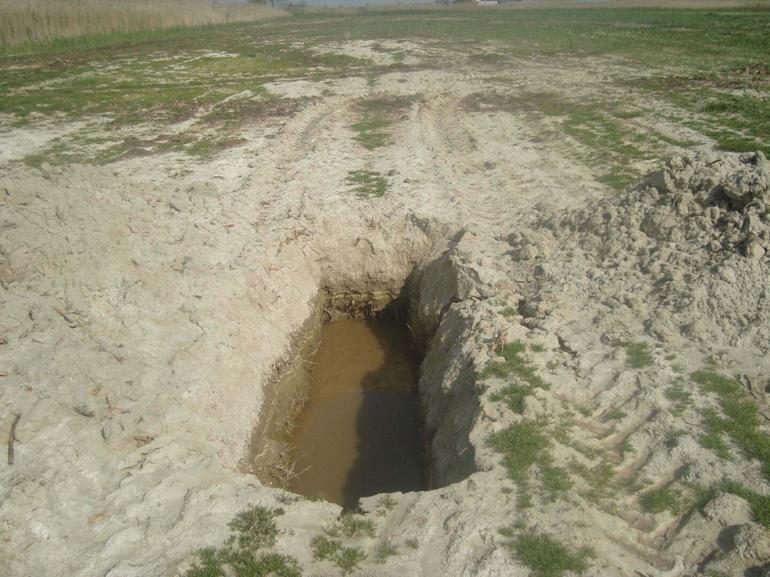 Prof. Dr. Yaşar: 2035e kadar barajlarımız dolu olacak