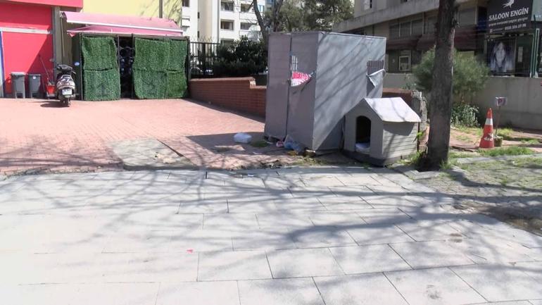 Kadıköy’de kaldırımda yatan ‘Pakize’ isimli köpeği ezip yollarına devam ettiler