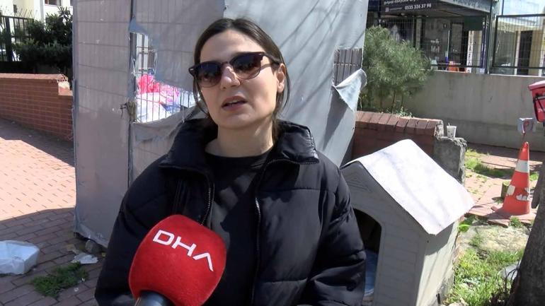 Kadıköy’de kaldırımda yatan ‘Pakize’ isimli köpeği ezip yollarına devam ettiler